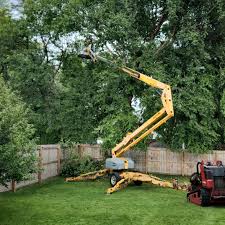 Leaf Removal in Hazard, KY